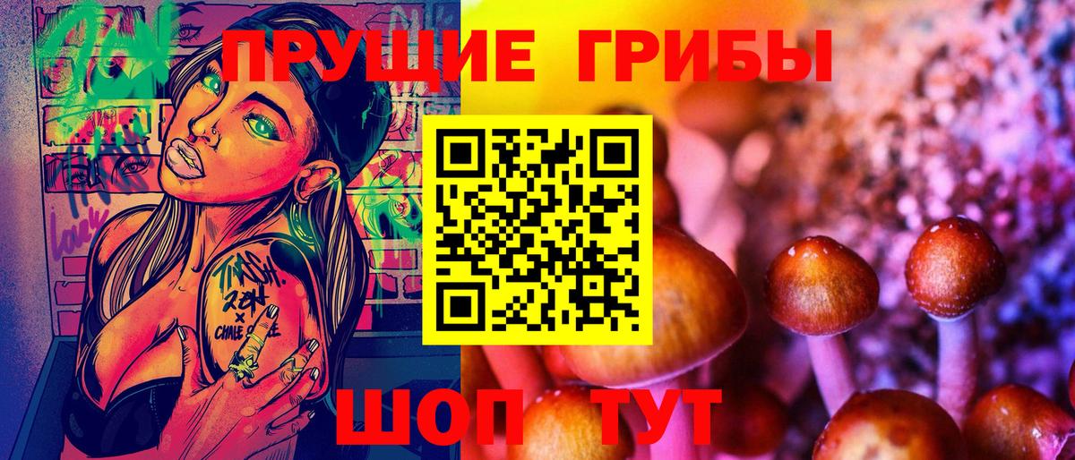 Мичуринск  Псилоцибиновые грибы MAGIC MUSHROOMS  Вход с VPN  Псилоцибиновые грибы мухоморы 